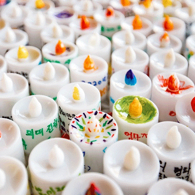 전시 사진/페이스북 출처이미지